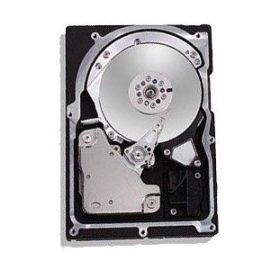 8J300S0 - Maxtor 300GB Server Hard Drive