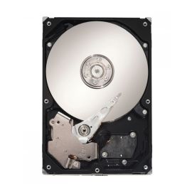 9BL14E-080 - Seagate 250GB Desktop Hard Drive