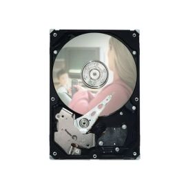 9GW132-505 - Seagate 500GB Desktop Hard Drive