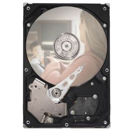 9GW132-603 - Seagate 500GB Desktop Hard Drive