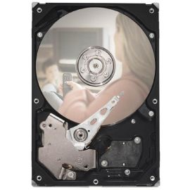 9GW142-160 - Seagate 500GB Desktop Hard Drive