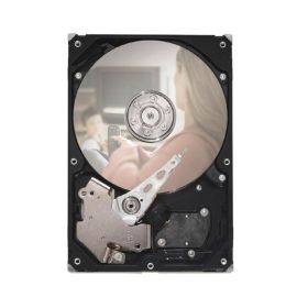 9GW142-905 - Seagate 500GB Desktop Hard Drive