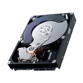 APPHDD500 - Intel 500GB Server Hard Drive
