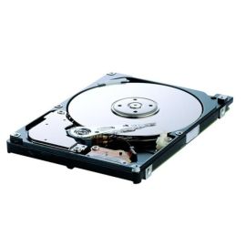 HM120JC - Samsung 120GB Laptop Hard Drive