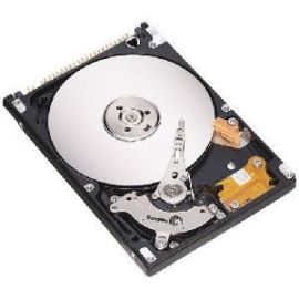 ST910021A-RK - Seagate 100GB Desktop Hard Drive
