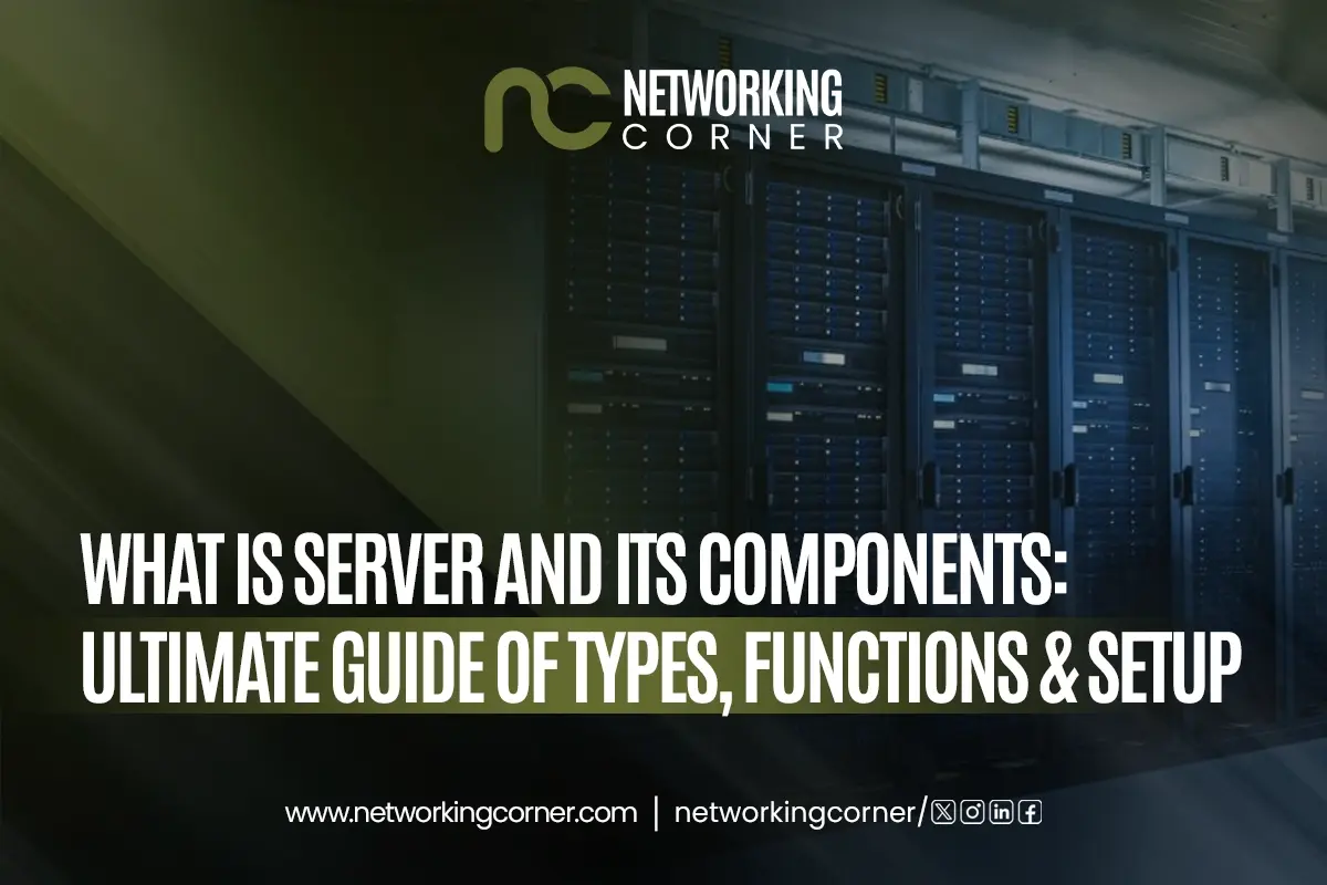 What is a Server and Its Components: Ultimate Guide of Types, Functions & Setup