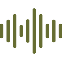 Audio
